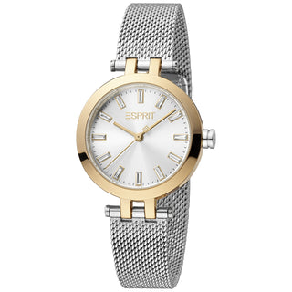 Front view of Esprit Brooklyn ES1L331M0105 Grey Stainless Steel Womens Watch on white background